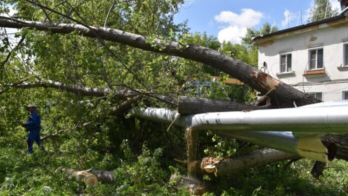 1 (Копировать)