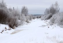 До -6°С похолодает в Рязанской области в воскресенье