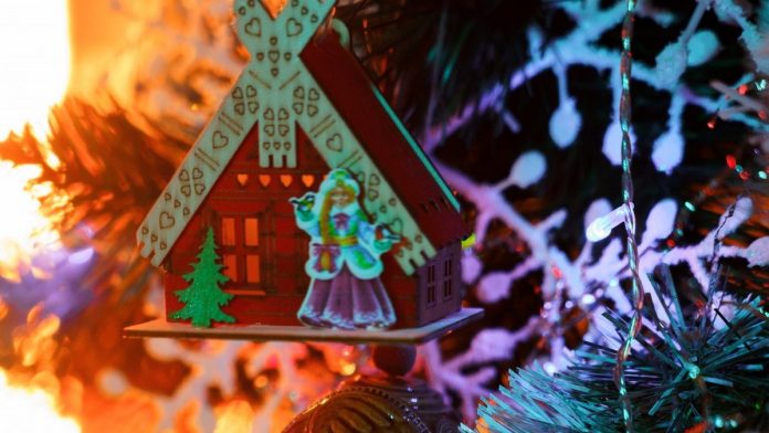 2_2024_12_24_13_06_47-_3_