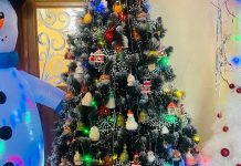 Елка из Скопина участвует во Всероссийском конкурсе «Елки России»