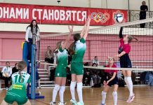 В Скопинском округе прошел межрегиональный турнир по волейболу среди девочек