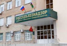 Большой участок, захламленный мусором, обнаружили в Скопинском округе