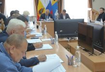 Депутаты Скопинского округа оценили работы по благоустройству